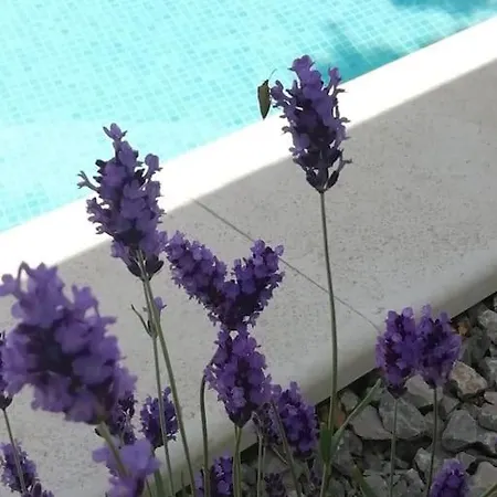 Martina Bellevue Villa